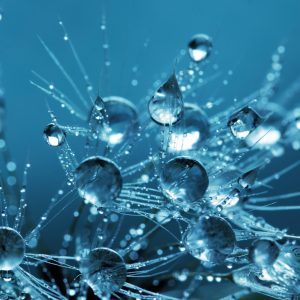 Candidaturas para a 7ª Edição do Prémio Internacional UNESCO Guiné-Equatorial para a Investigação em Ciências da Vida